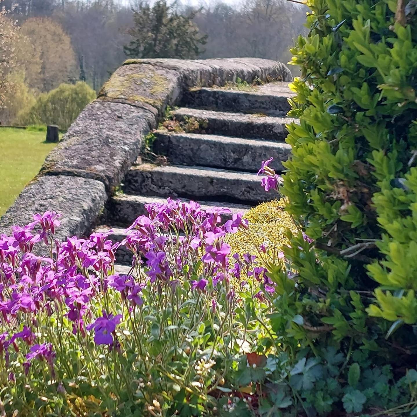 Villa Chateau de Vaux à Gesnes-le-Gandelin Extérieur photo