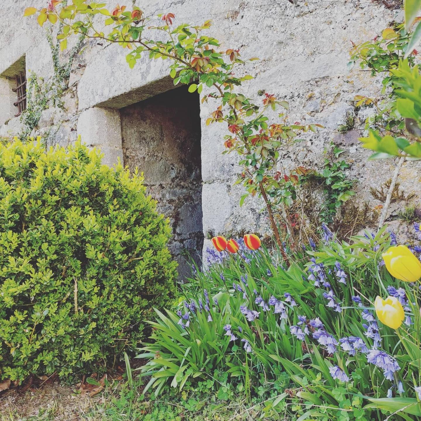 Villa Chateau de Vaux à Gesnes-le-Gandelin Extérieur photo